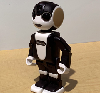 RoBoHon.