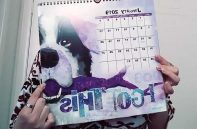 Haley Art and Design Review: Love the World As it Should Be