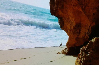 Tom Dyer Tiki Cocktail Shaker: Feel Like You’re In the Islands