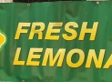 Bill’s “World Famous” Lemonade Review: Tart, Sweet & Profitable