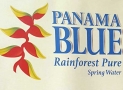 Panama Blue Rainforest Pure Spring Water Review: The Smoothest Water You’ll Ever Taste